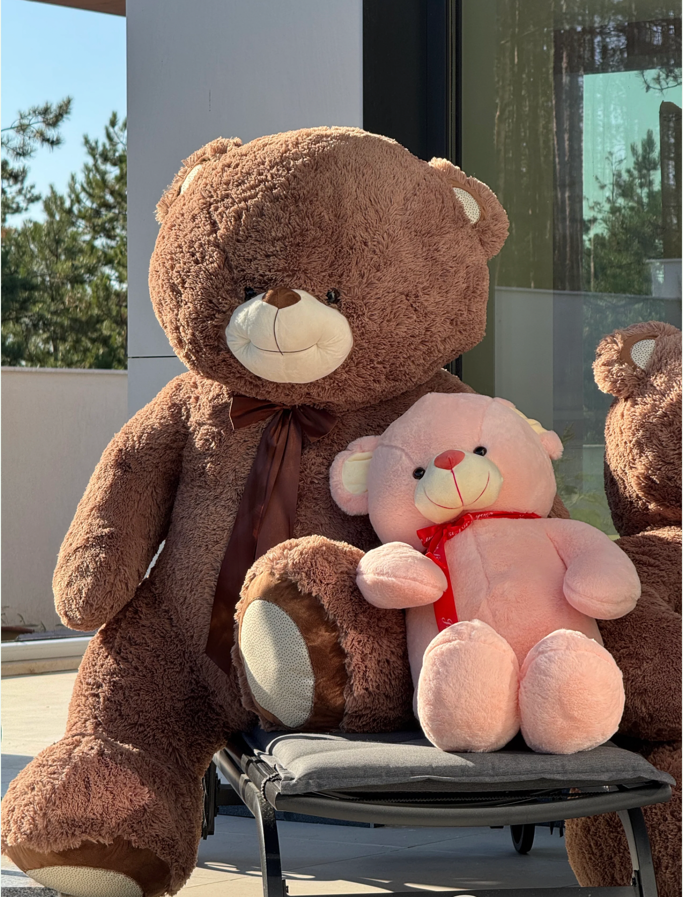 Плюшени мечки