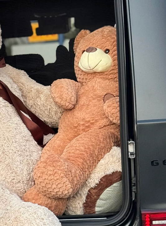 Малко плюшено мече